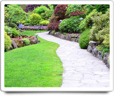 image of lawn & landscaping
